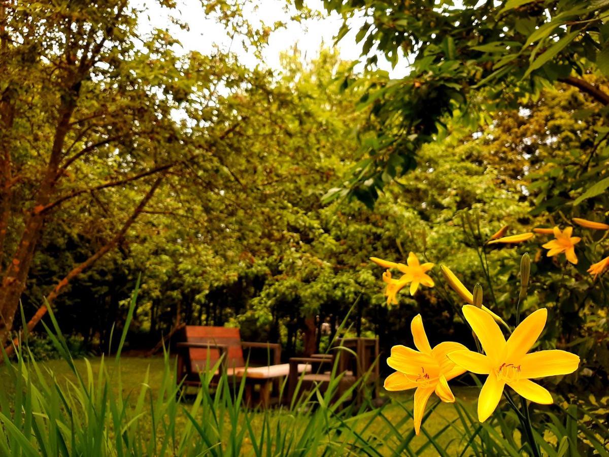 Champetre Park View 公寓 *