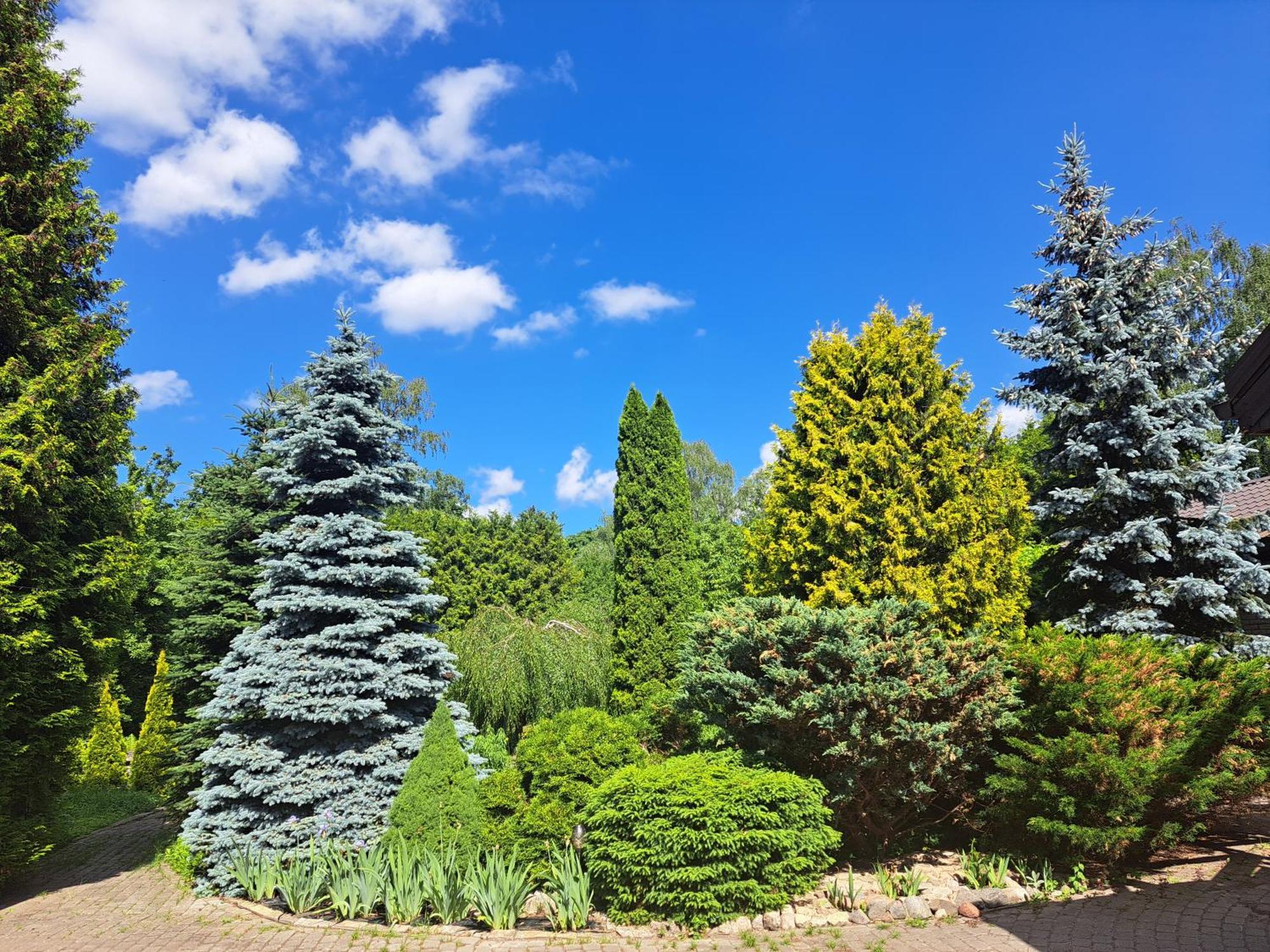 Champetre Park View * 里加