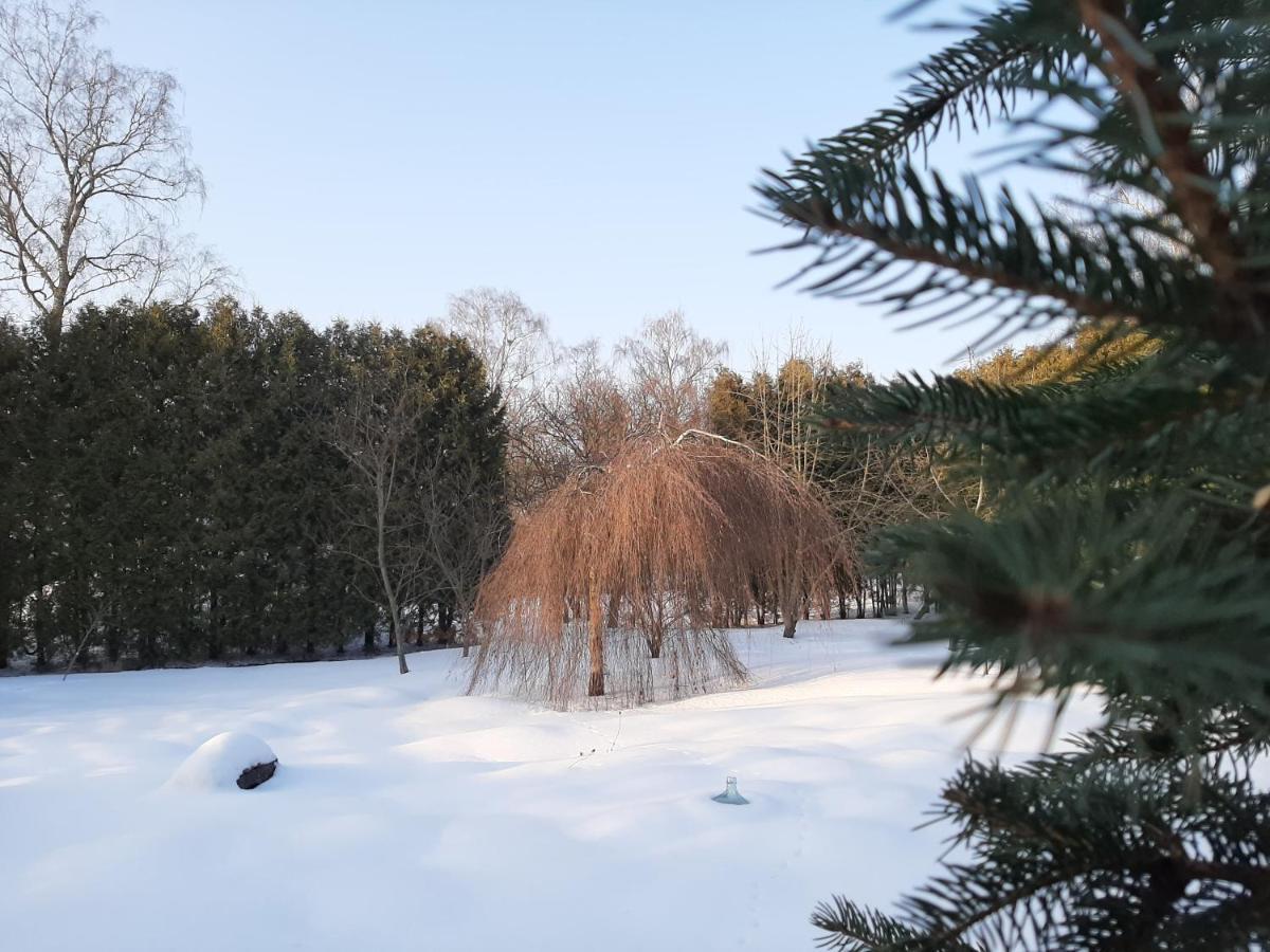 Champetre Park View Рига