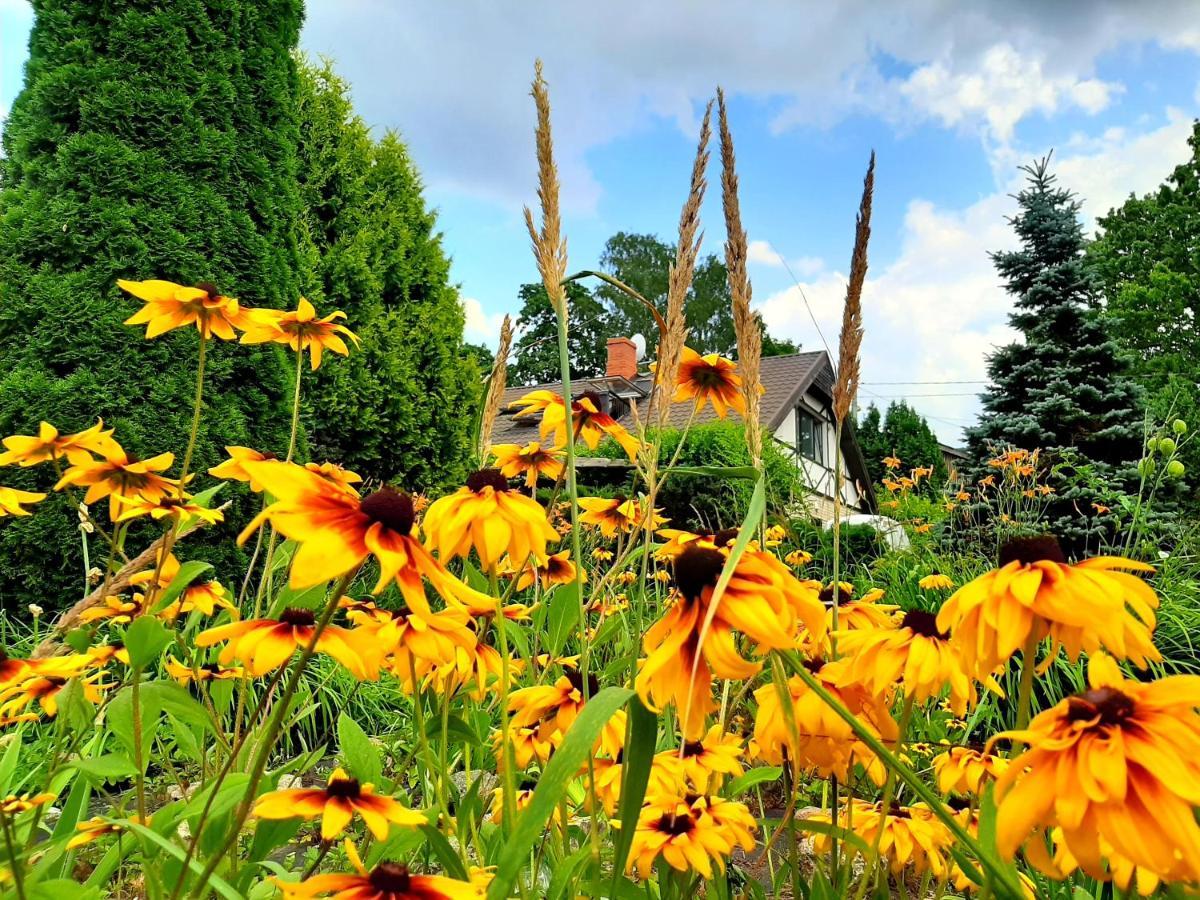 Апартамент Champetre Park View